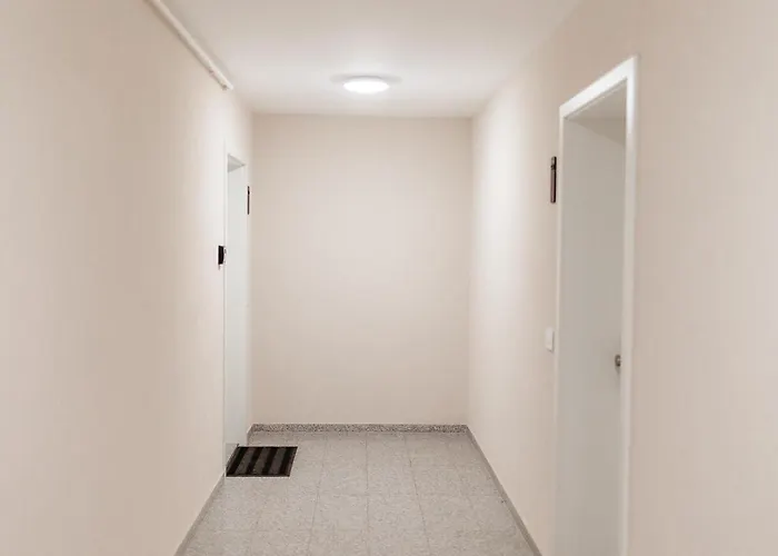 Modern Coresi - Free Private Parking *